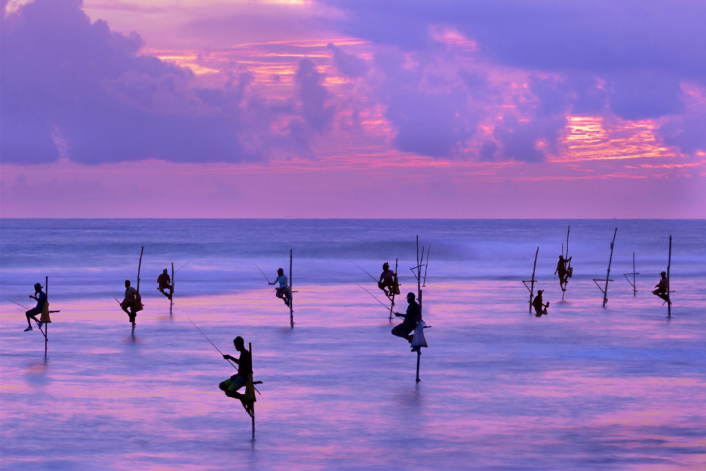 South Coast Leisure & Wellness